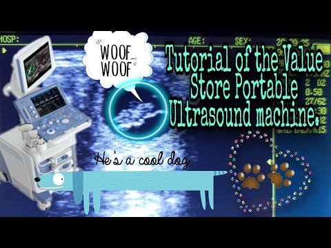 Tutorial of the Value Store Veterinarian Ultrasound Machine.Whelping puppies, Palpation & More!