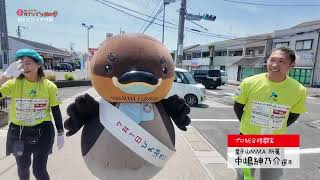 2026/5/26放送・知ったかぶりカイツブリにゅーす