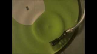 RODION - ELECTRIC SOCA (COSMO VITELLI REMIX)