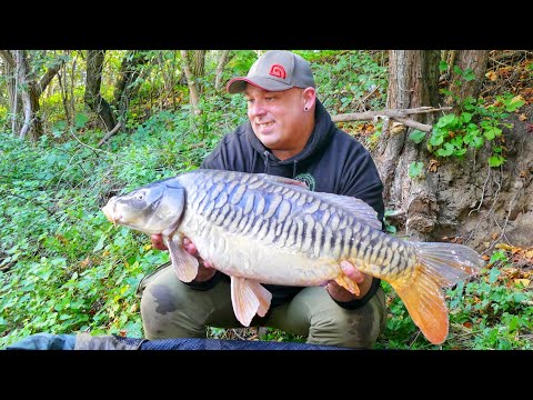 Carp fishing VTB 70 - In autumn on the small river