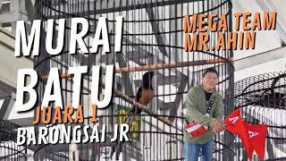 Download lagu Mr.Ahin - BARONGSAI JR - Murai batu - masih dapat JUARA 1 KMM mp3