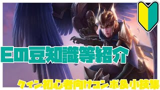 クイン初心者向けコンボ＆小技集【リーグオブレジェンド】
