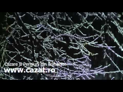 Cazare Maruntei, Olt - Cazat.ro