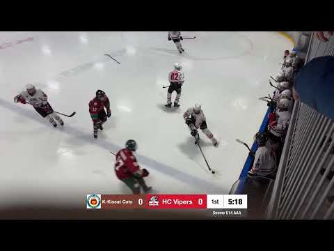 K-Kissat Cats - HC Vipers 1/2