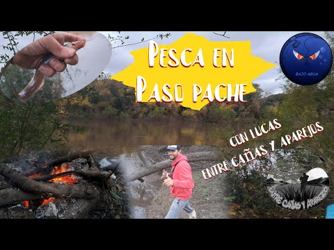 Pesca en Paso Pache // Canelones - Uruguay // con @entrecanasyaparejos2396 @bajoagua3895