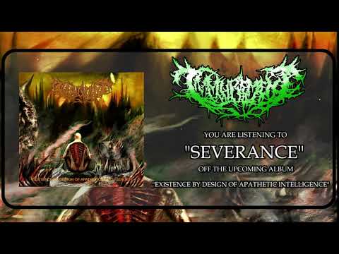 Immurement -  Severance (OFFICIAL LYRIC PROMO VIDEO 2019)