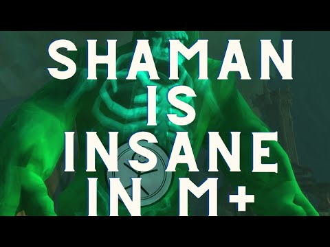 Enhancement Shaman DESTROYS 14 Plaguefall (Lock POV)