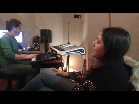 Svetlana Ceca Raznatovic -Kukavica(COVER Lidija Jankovic) 2020