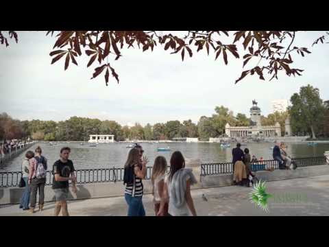 Captura Youtube