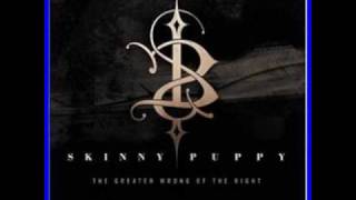 skinny puppy first aid