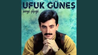 Sevgi Çiçeği