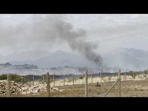 Incendio de Teno se investiga como negligencia | 24 Horas TVN - Red Maule
