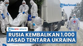 Rusia Kembalikan Seribu Jenazah Tentara ke Ukraina, Tandai Pertukaran Pertama di Tahun 2026