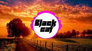 Black cat - Ehrling   Sthlm Sunset Remix (bass mode)