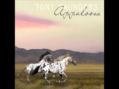 Tony Saunders  -  The Lady In My Life