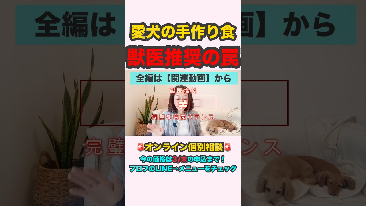 あなたの愛犬の手作りご飯は大丈夫❓#予防医学 #愛犬 #ミニチュアダックスフンド