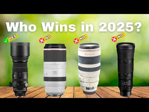 Best Safari Lenses of 2025 | Wildlife Photography Gear Guide