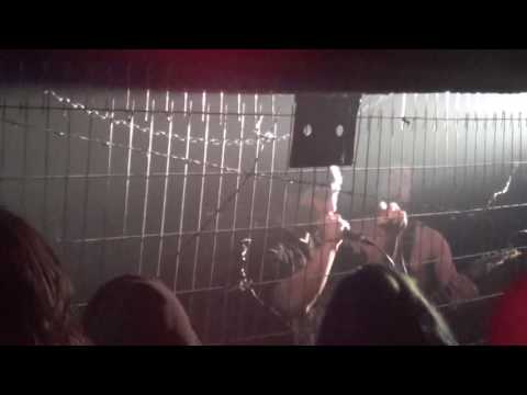 tiempos de horror en vivo