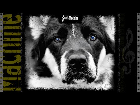 [FREE] Veo el camino | RAP BOOM BAP BEAT | UNDERGROUND | Uso libre