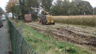 preview picture of video 'New Holland FX60 in Maize - Moylough, Galway - 11/2008 (2)'