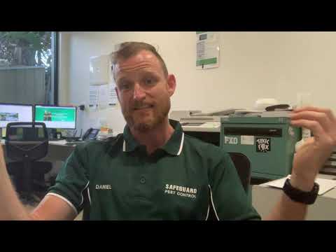 The HOTH Customer Testimonial & Review - HOTH X, Managed SEO