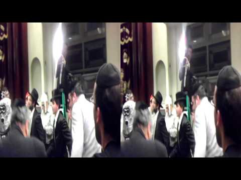 Michoel Schnitzler rockin 3d landaus 5772