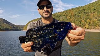 Multi-Species MADNESS While Spoon Bass Fishing (NEW PB SURPRISE!!!)