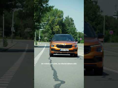 Náhled pro video reference