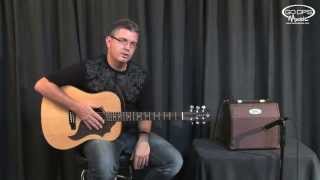 Video thumbnail for Luna Guitars AA-15 Acoustic Ambience Amplifier Demonstration by GoDpsMusic Live