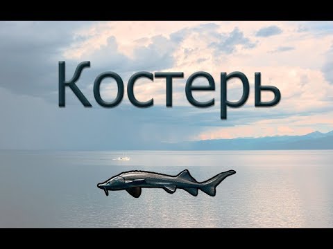 Русская Рыбалка 3.99 Костерь