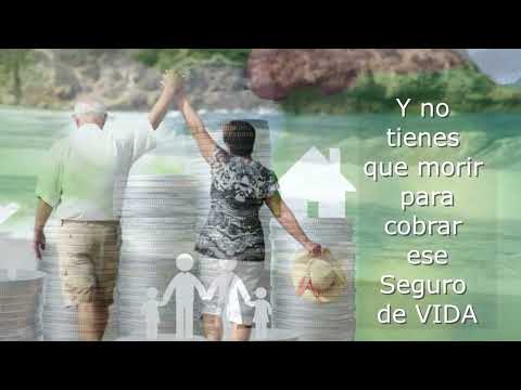 Seguros de Vida
Un Seguro de Vida es una medida financiera para proteger el futuro de su familia. Protegase hoy....