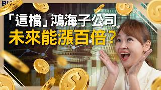 [標的] 9933中鼎 隱藏的美積電設備股