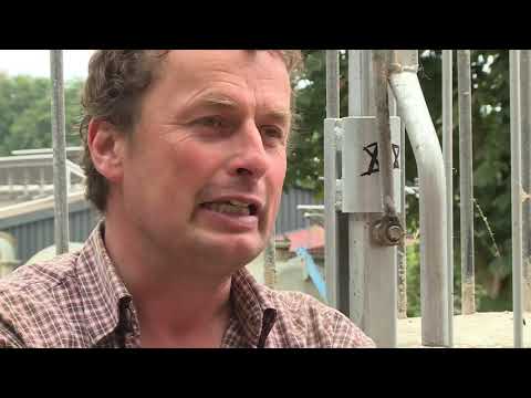 Artgerechte Tierhaltung - Ein Schulfilm