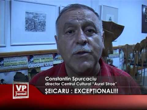SEICARU: EXCEPTIONAL!!!