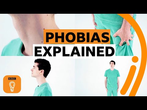 恐懼症從何而來?| 恐懼症是怎麼來的? (Where do phobias come from? | BBC Ideas)