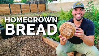 Baking Bread From Homegrown Wheat!