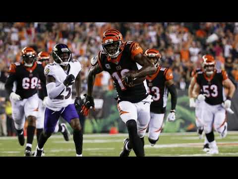 Fanimal Radio: It’s Steelers Week Fanimal Radio: It’s Steelers Week