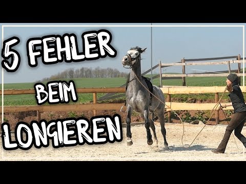 5 Fehler die du beim Longieren machst