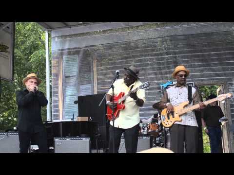 Lurrie Bell - Chicago Blues Fest 2013