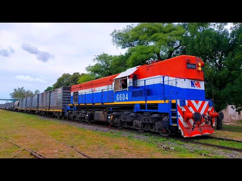 [4K] Tren de tolvas graneras de NCA con destino a General Deheza pasando por Marcos Juárez!!!!!!