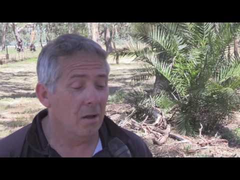 Production Sedans: 2017 Australia Production Sedan Title - Stephen and Gemma Laidlaw Interview