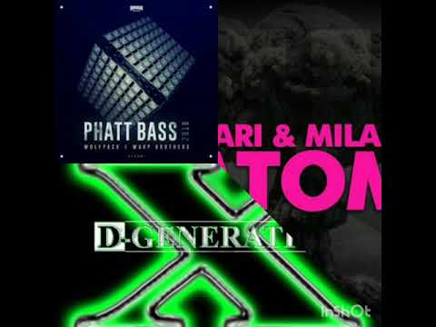 (wolfpack & warp brothers - phatt bass vs dx degeneration-vs nari milani atom)remix Steve dj
