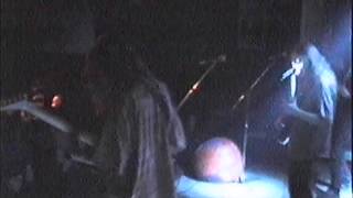 Ignorabimus, Carnifex, Neglected Fields - Piraat. 07.12.96