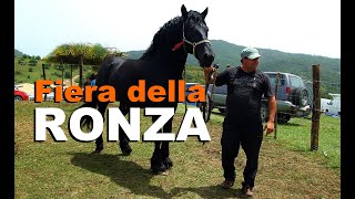 preview picture of video 'Fiera della Ronza - Campana (CS)'