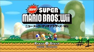 [スーパーマリオブラザーズ]ピーチ姫を助ける為に一体何人のマリオが犠牲になるのだろう…　＃１