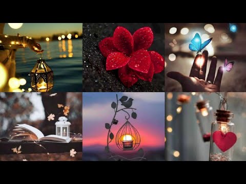  Funny photos to put on your WhatsApp profile