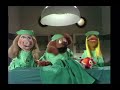 The Muppet Show 116 Avery Schreiber Veterinarian S Hospital Chicken 1976