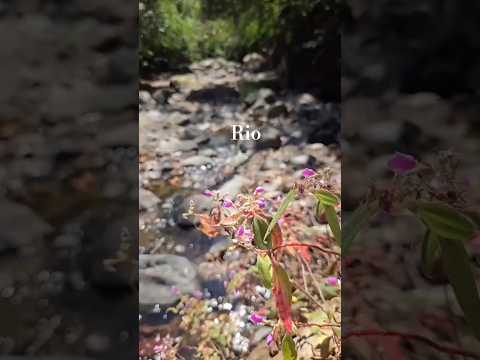 Al fondo el río Panchimilama en 📍San Francisco Chinameca, La Paz #ElSalvador