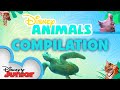 Learn About Animals Season 1 Compilation Disney Animals Disneyjr