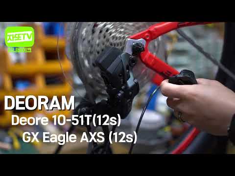Deore+GX Axs =DeoRam 12×
